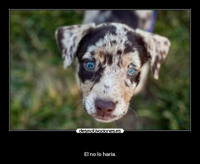 carteles vamonostospacasa desmotivaciones