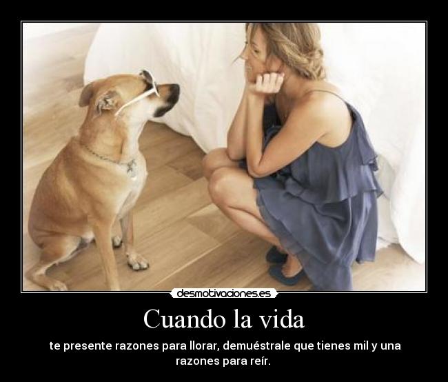 Cuando la vida - te presente razones para llorar, demuéstrale que tienes mil y una razones para reír.