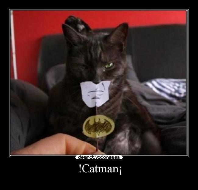 !Catman¡ -