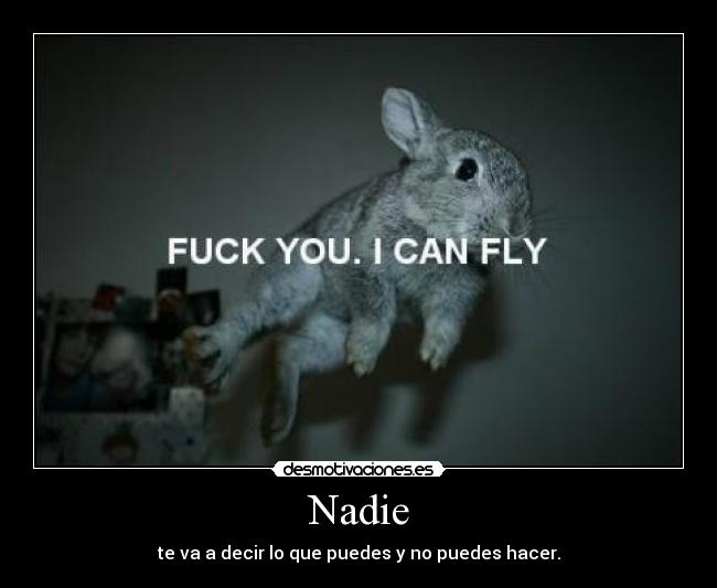 Nadie - te va a decir lo que puedes y no puedes hacer.