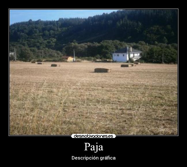 Paja - Descripción gráfica