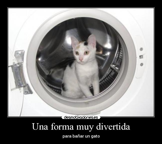 Una forma muy divertida - 