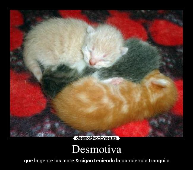 carteles desmotivaciones