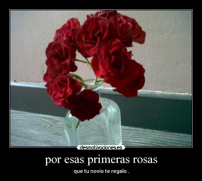 por esas primeras rosas - que tu novio te regalo .