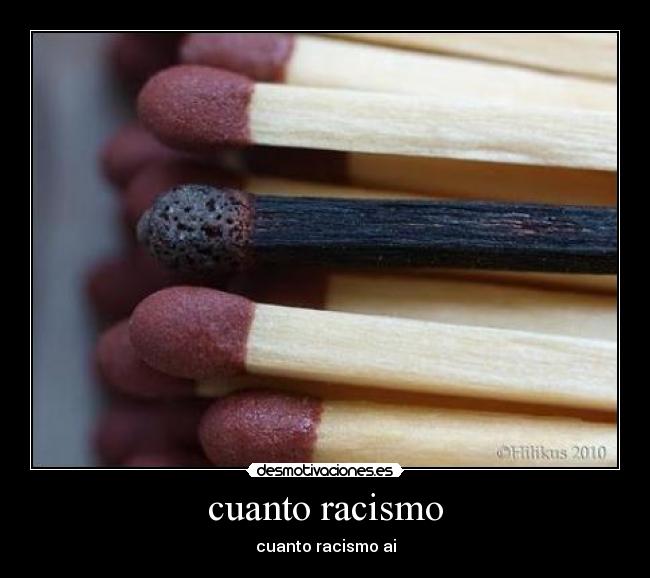 cuanto racismo - cuanto racismo ai
