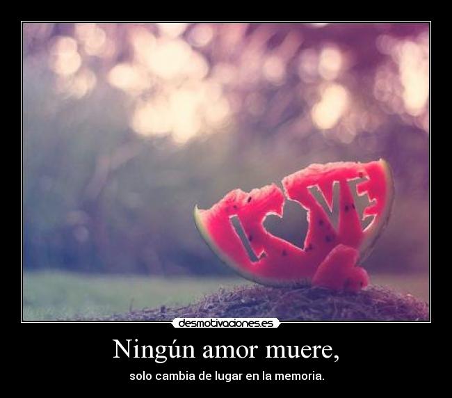 Ningún amor muere, -