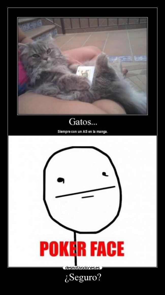 carteles gatos poker face desmotivaciones