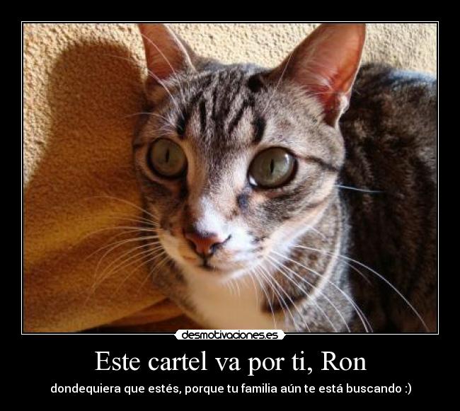 Este cartel va por ti, Ron -