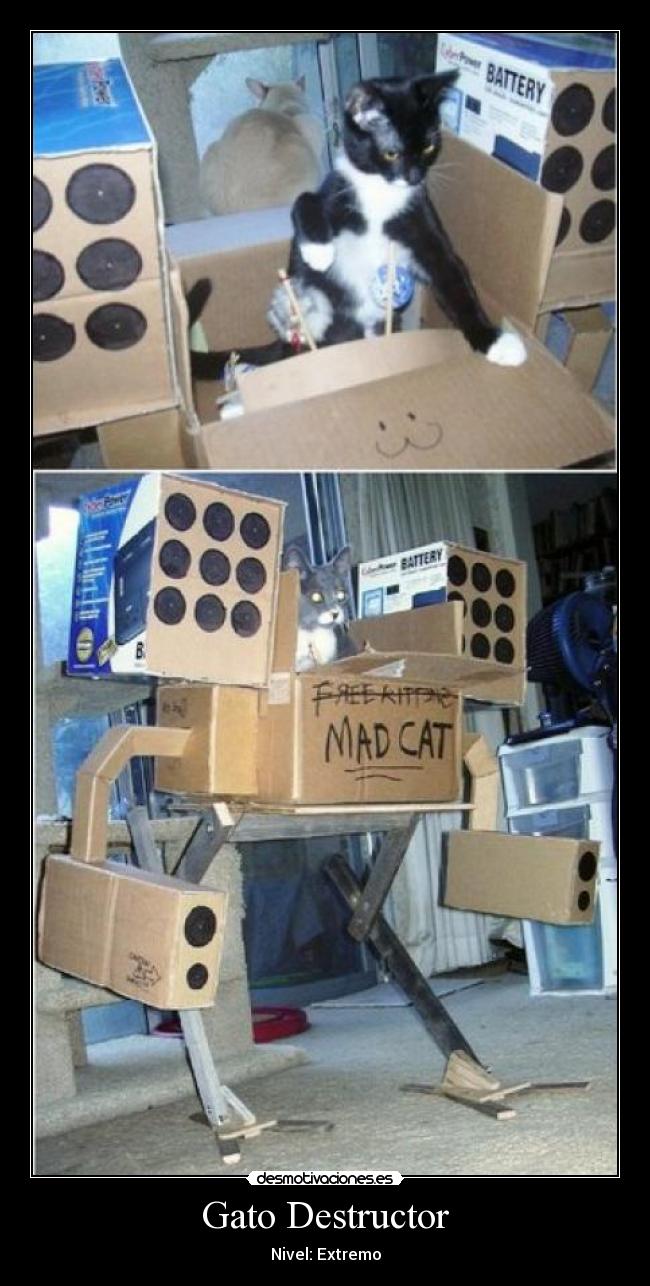 Gato Destructor -