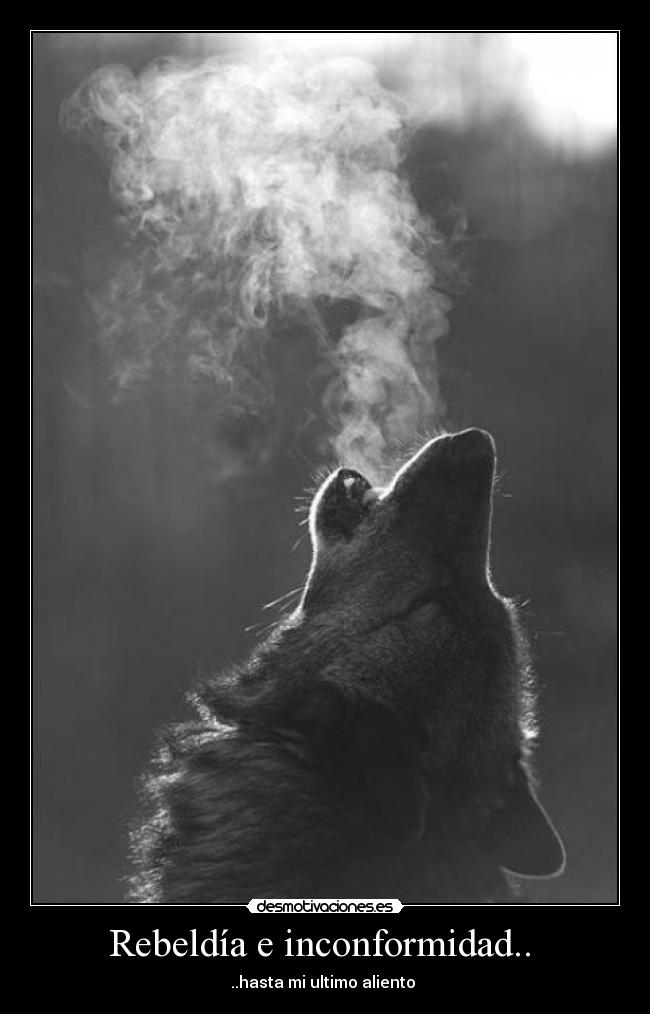 Rebeldía e inconformidad.. -
