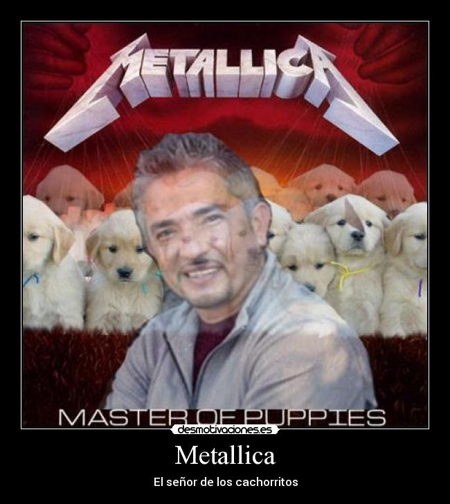 Metallica - El señor de los cachorritos