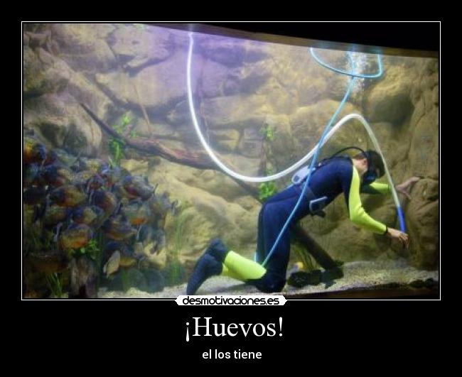 ¡Huevos! - el los tiene