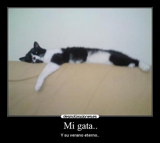 Mi gata.. - Y su verano eterno..