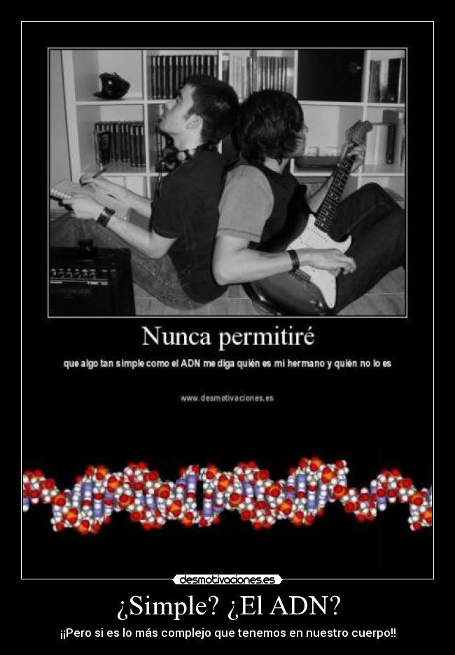 ¿Simple? ¿El ADN? -