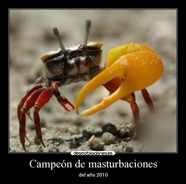 Campeón de masturbaciones - del año 2010