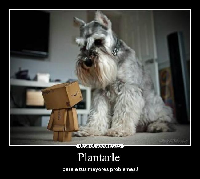 Plantarle -