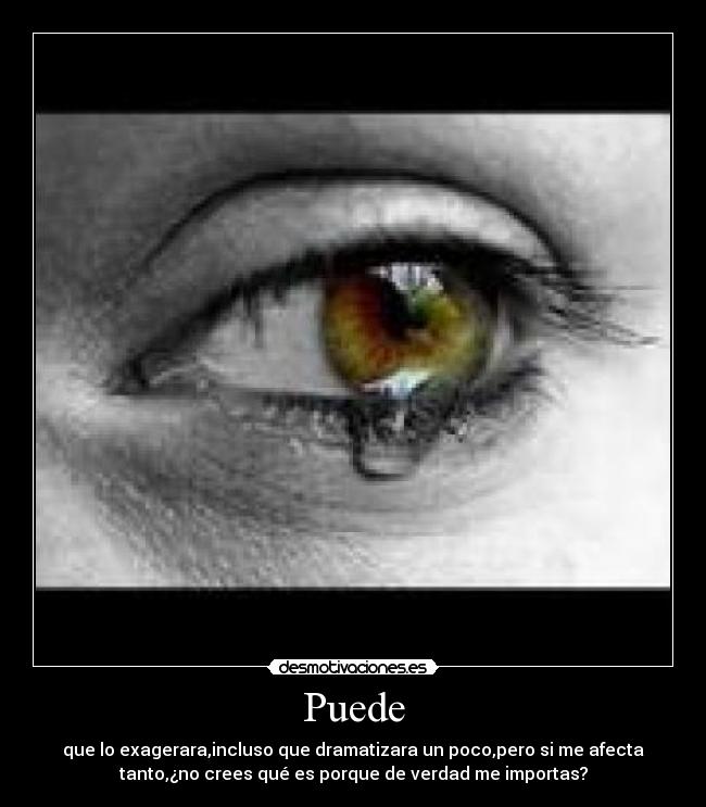 carteles camaleonika desmotivaciones