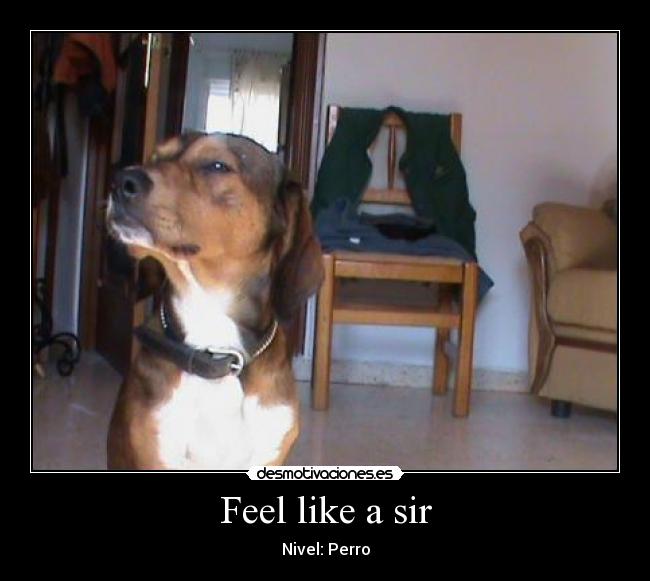 carteles alexico97 desmotivaciones