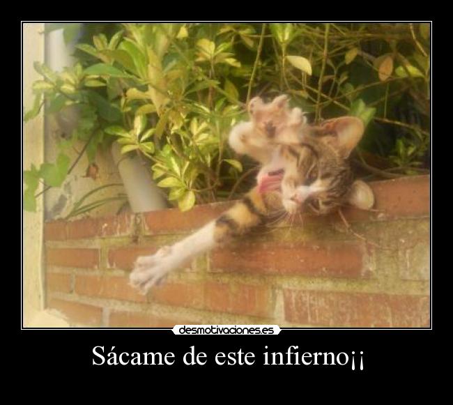 Sácame de este infierno¡¡ - 