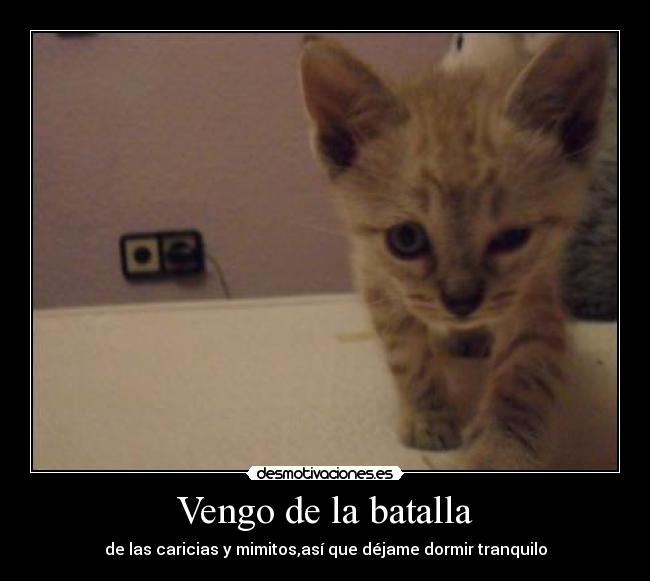 Vengo de la batalla - 