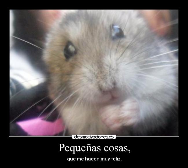 Pequeñas cosas, -