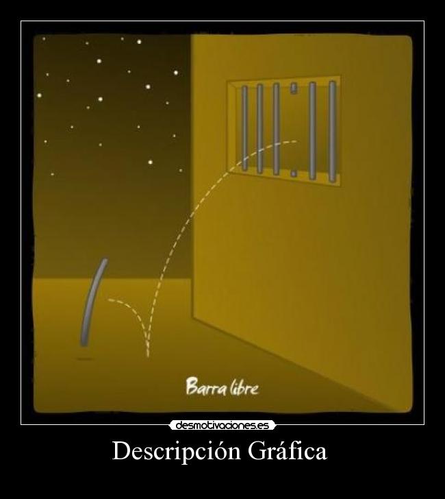 Descripción Gráfica  - 