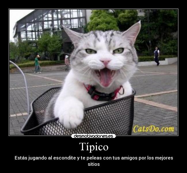 Típico -