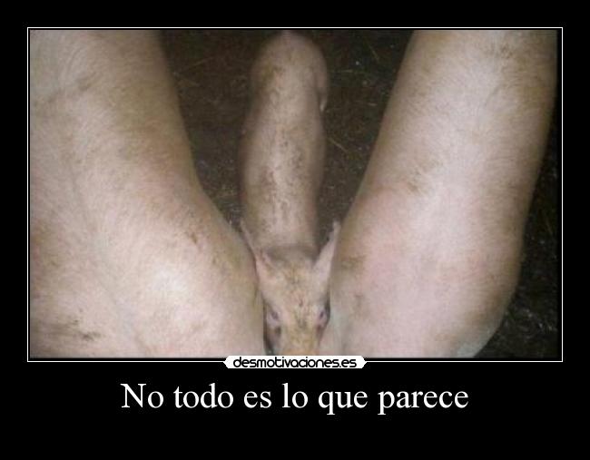 No todo es lo que parece -