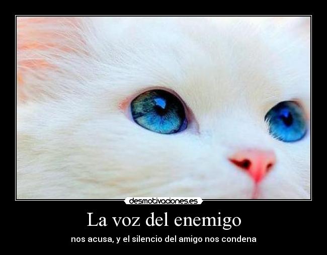 La voz del enemigo - 