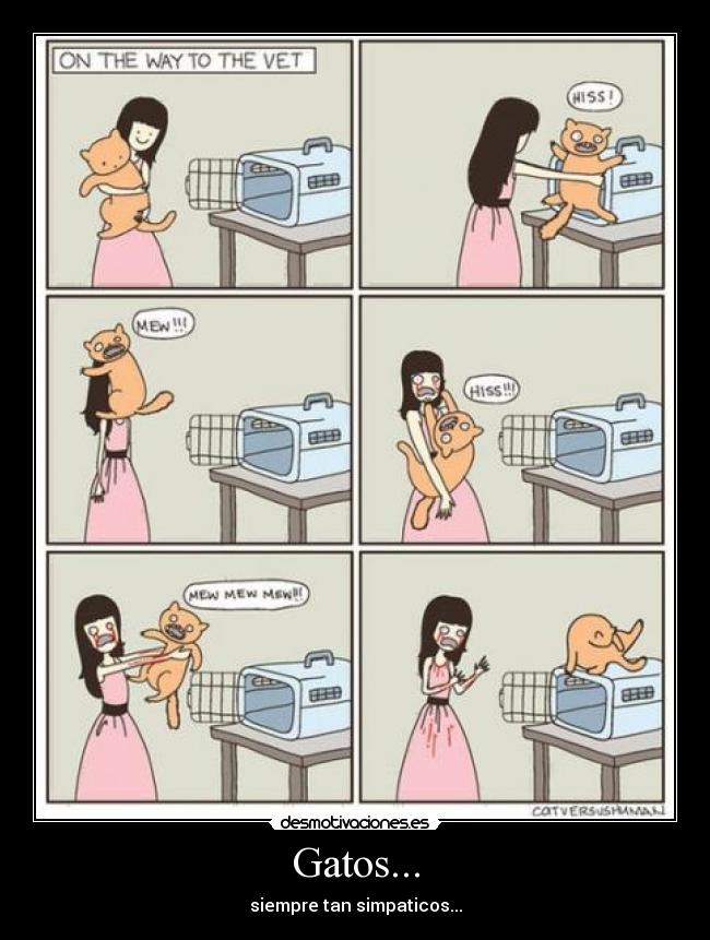 Gatos... -