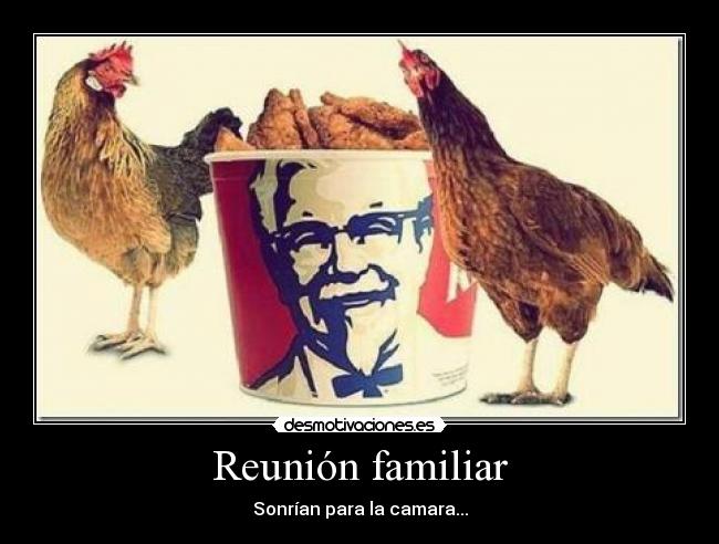 carteles kfc pollo gallina gallo desmotivaciones