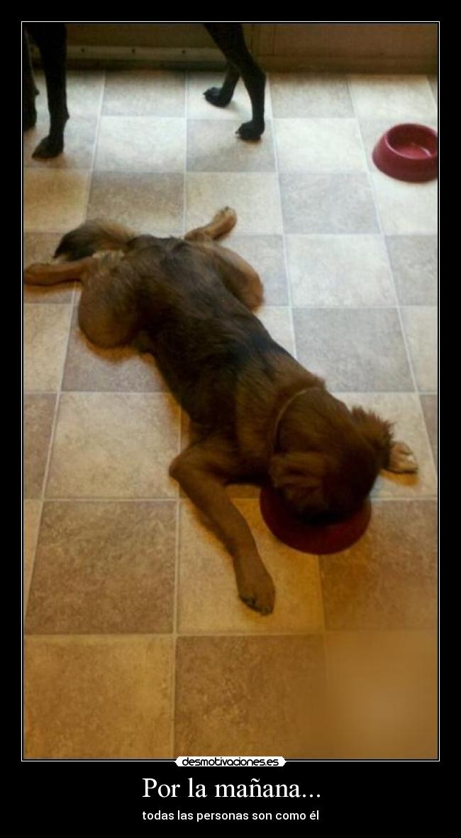 Por la mañana... - todas las personas son como él