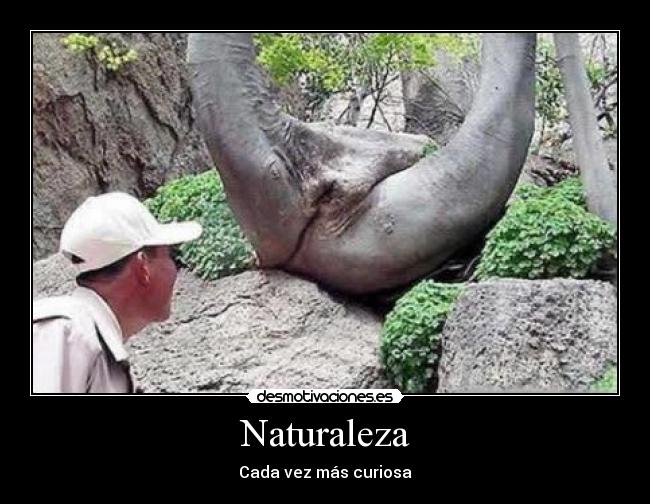 Naturaleza - Cada vez más curiosa