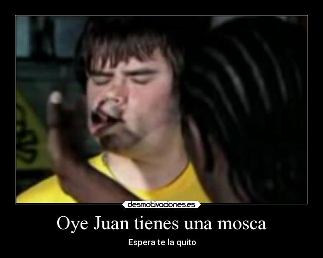 carteles ostia vida desmotivaciones