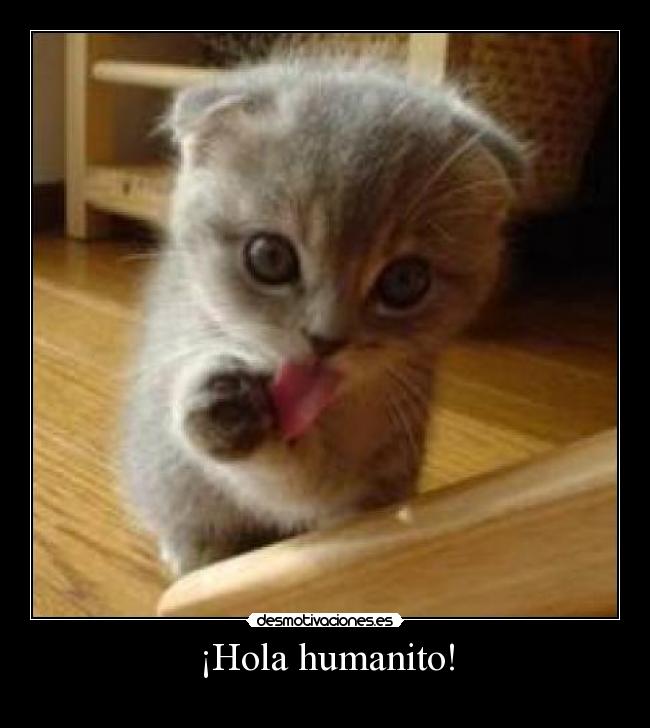 ¡Hola humanito! - 