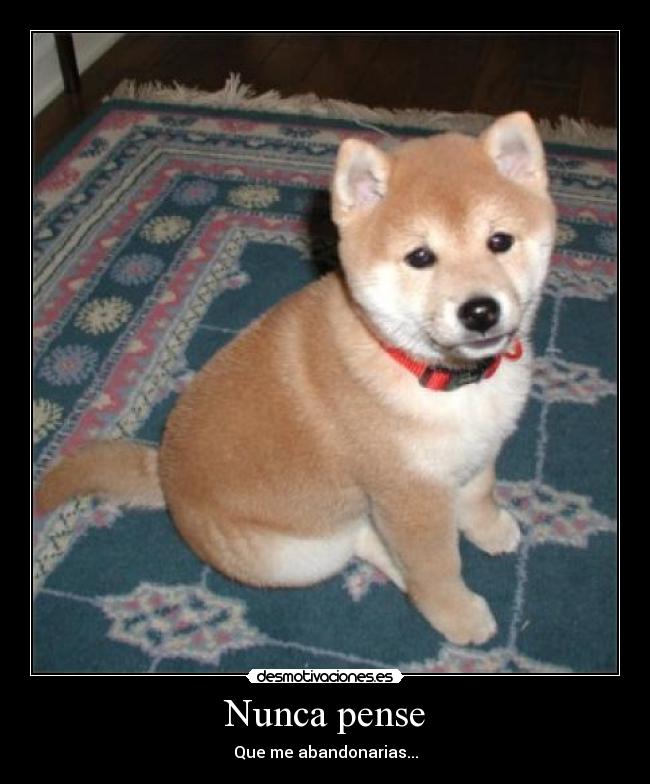 carteles yooooooxd desmotivaciones