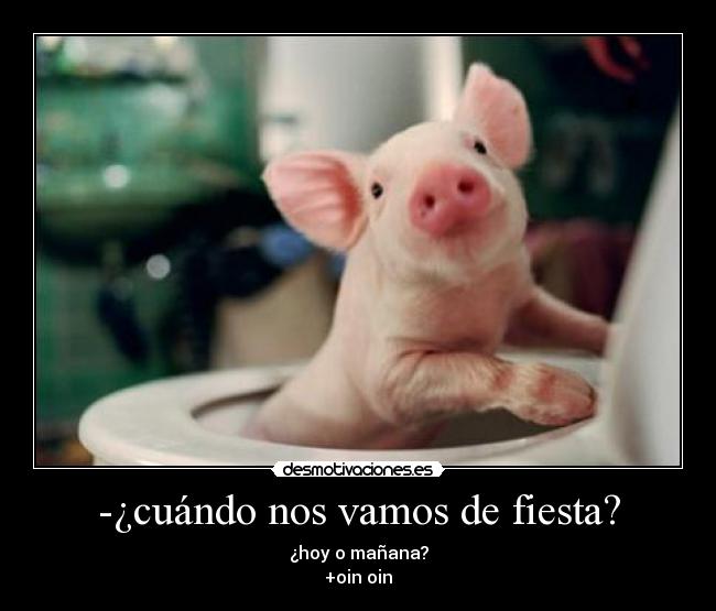-¿cuándo nos vamos de fiesta? - ¿hoy o mañana?
+oin oin