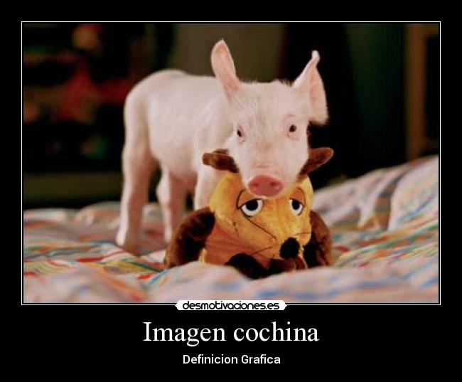 Imagen cochina - 