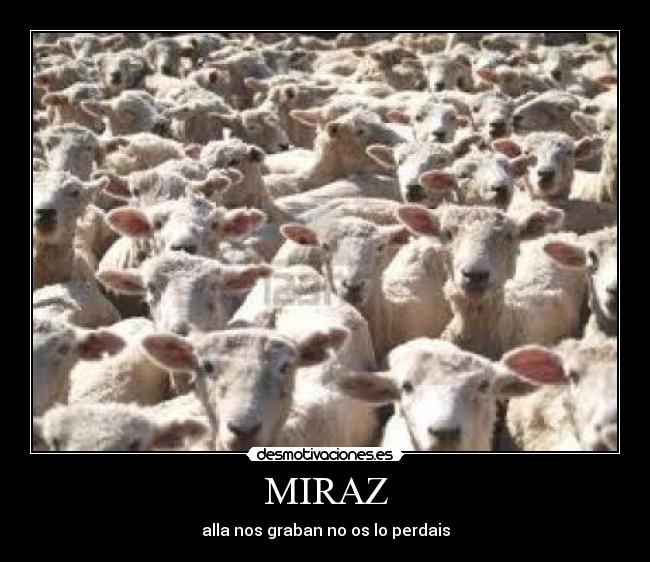 MIRAZ - alla nos graban no os lo perdais