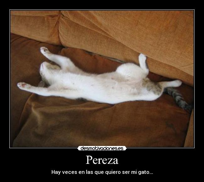 Pereza - Hay veces en las que quiero ser mi gato...