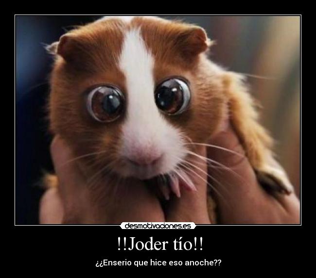 carteles enserio hice eso desmotivaciones