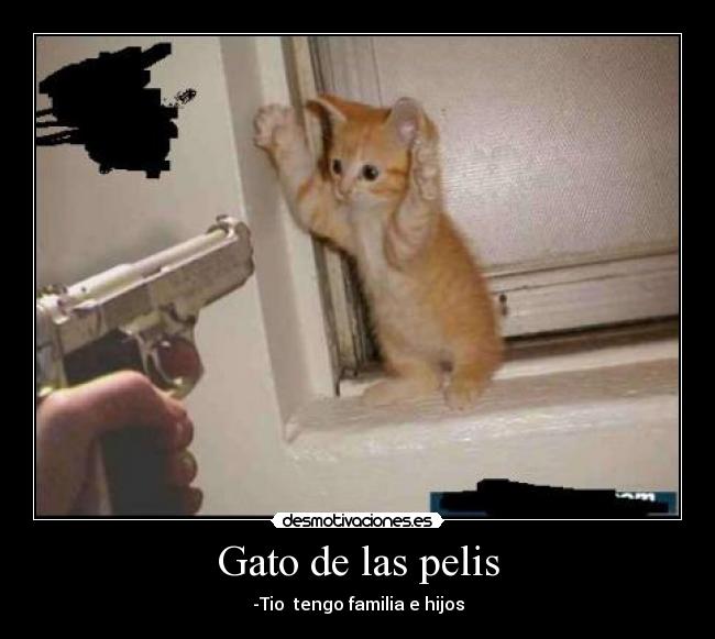 Gato de las pelis - -Tio tengo familia e hijos