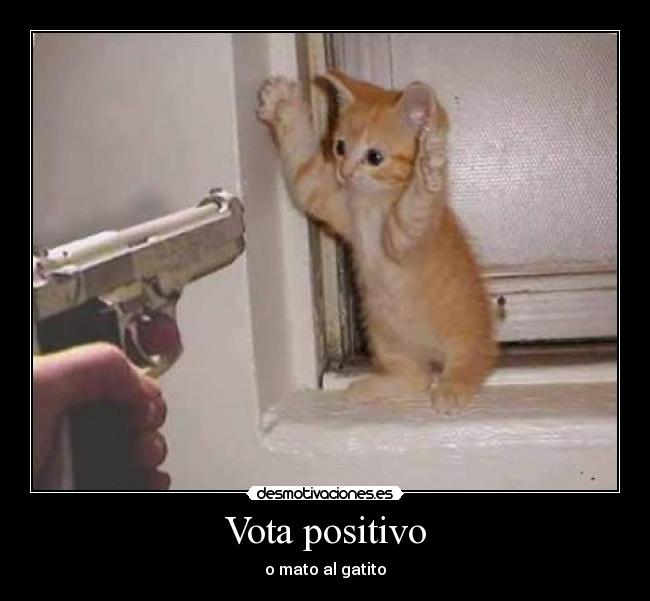 Vota positivo - o mato al gatito