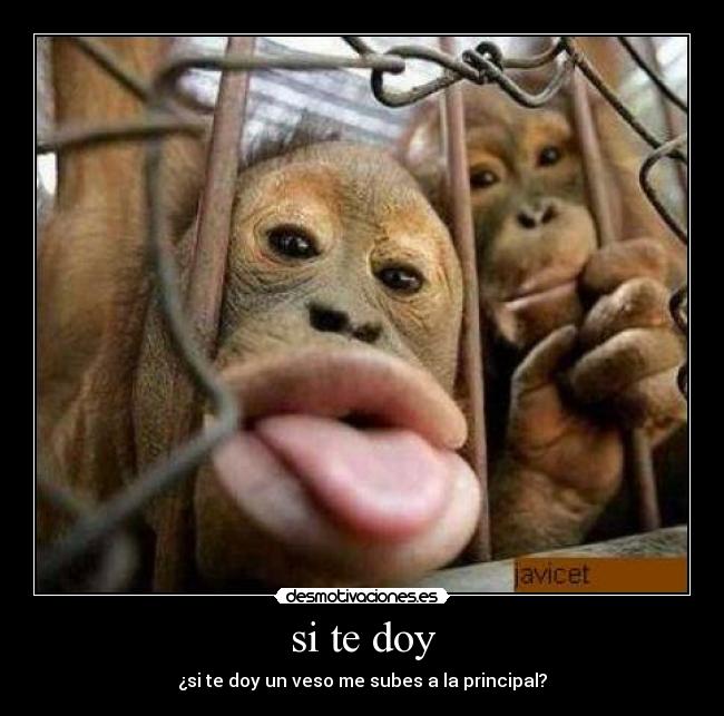 si te doy - ¿si te doy un veso me subes a la principal?