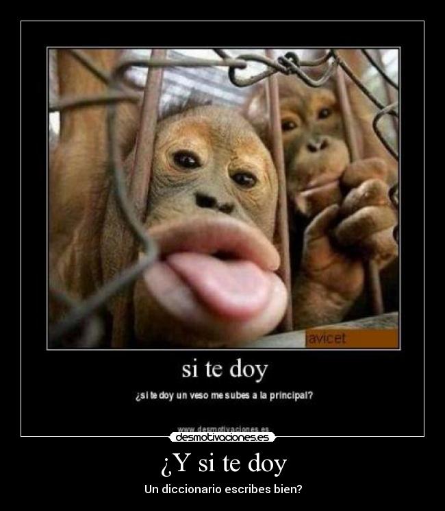 ¿Y si te doy - 