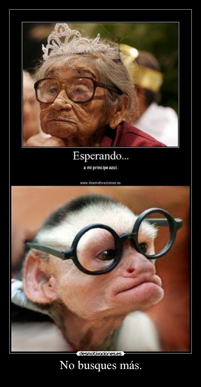 No busques más. - 
