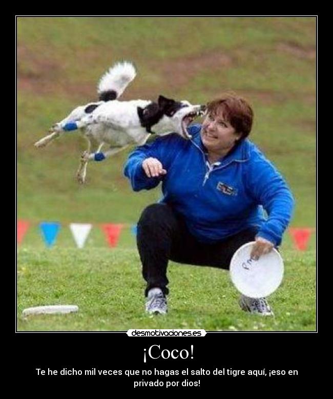 ¡Coco! - 