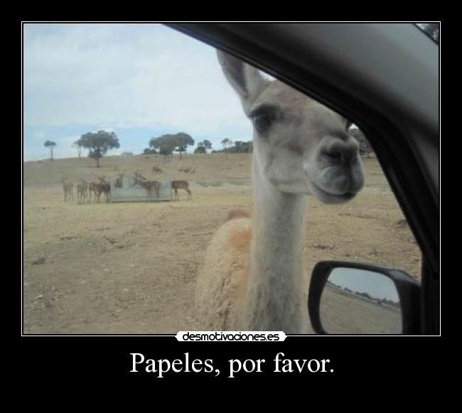 Papeles, por favor. -