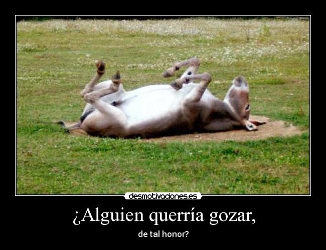 ¿Alguien querría gozar, - de tal honor?