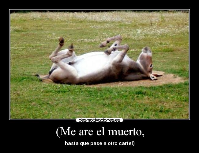 (Me are el muerto, -